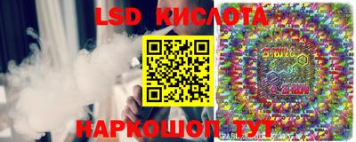 молекула духа Берёзовский