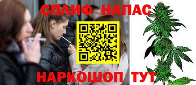 прущие грибы Беслан