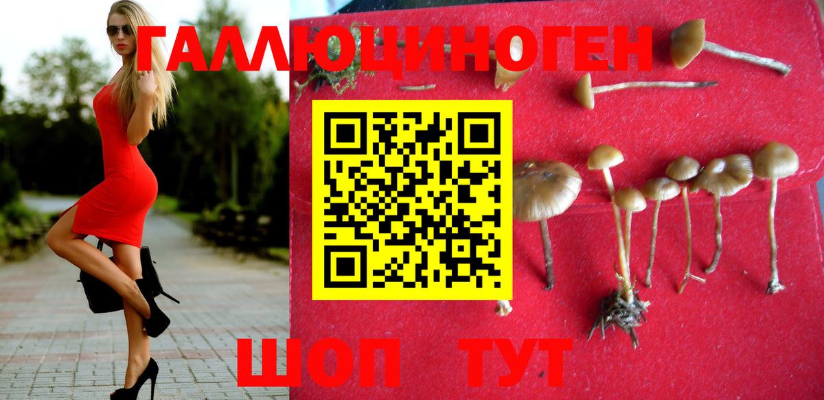 Псилоцибиновые грибы ЛСД Ишим